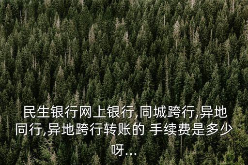  民生銀行網(wǎng)上銀行,同城跨行,異地同行,異地跨行轉(zhuǎn)賬的 手續(xù)費是多少呀...