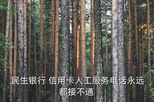 民生信用卡催款號碼是多少,招商銀行信用卡催款號碼