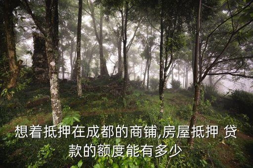 想著抵押在成都的商鋪,房屋抵押 貸款的額度能有多少