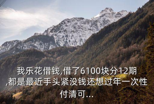 借樂花額度多少錢啊,額度200,000是多少錢