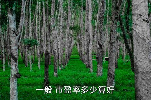 一般 市盈率多少算好