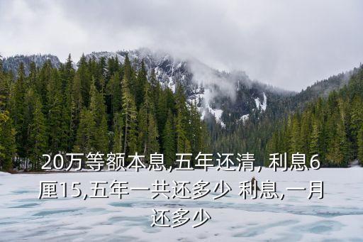 民間貸款20萬利息多少