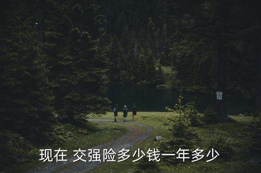 現(xiàn)在 交強(qiáng)險(xiǎn)多少錢一年多少