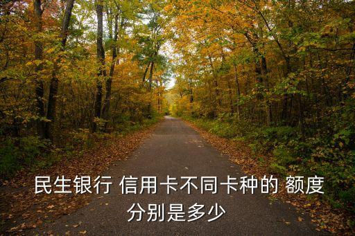  民生銀行 信用卡不同卡種的 額度分別是多少