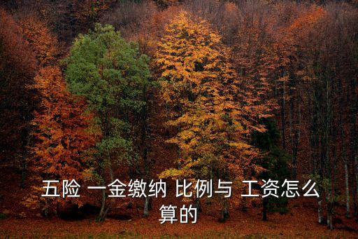五險(xiǎn)一金按工資比例是多少,工資五險(xiǎn)一金扣除比例
