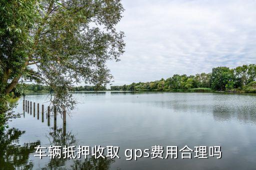 車輛抵押收取 gps費用合理嗎