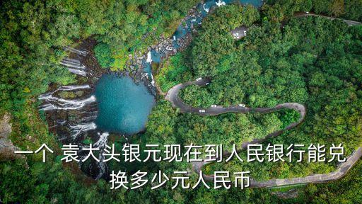 袁大頭現(xiàn)在多少錢,甘肅一元袁大頭現(xiàn)在多少錢