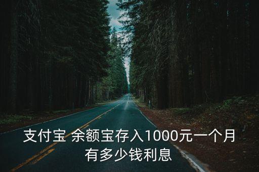 支付寶 余額寶存入1000元一個月有多少錢利息