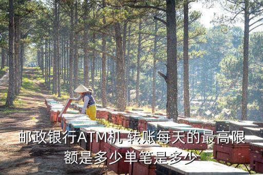 郵政銀行ATM機(jī) 轉(zhuǎn)賬每天的最高限額是多少單筆是多少