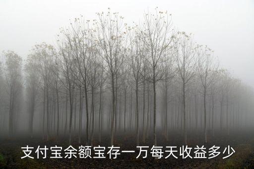 1支付寶10000一天利息是多少,支付寶逾期罰息10000一個(gè)月利息多少
