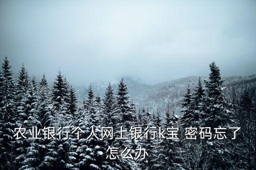 農業(yè)銀行個人網上銀行k寶 密碼忘了怎么辦