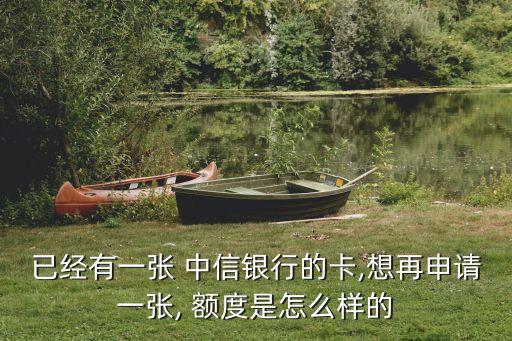 已經(jīng)有一張 中信銀行的卡,想再申請一張, 額度是怎么樣的