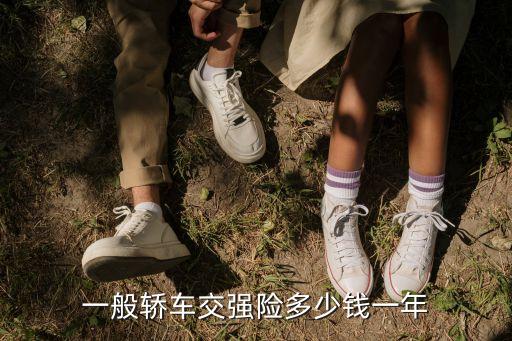 車買保險得多少錢