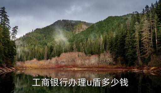 工行辦網(wǎng)銀要多少錢,工行開卡不能辦網(wǎng)銀嗎