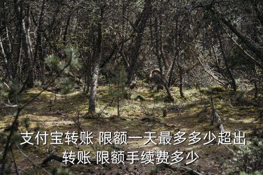 支付寶收款信用卡限額多少錢