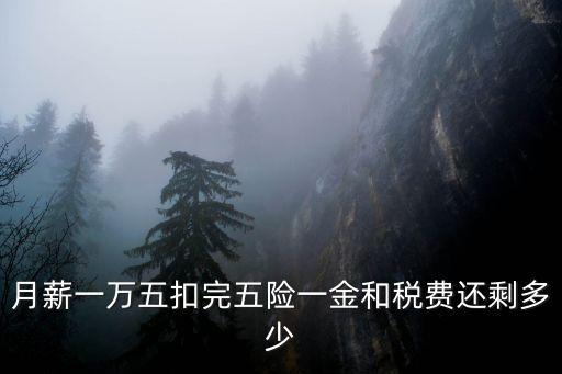 稅前工資1萬5 稅后多少,瑞士稅前年薪10萬瑞士法郎稅后工資多少