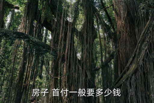房子 首付一般要多少錢