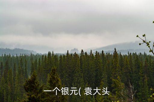 一個銀元( 袁大頭