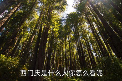 西門慶的財(cái)富有多少