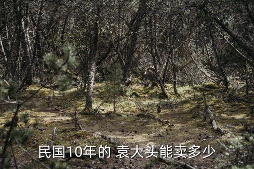 民國10年的 袁大頭能賣多少