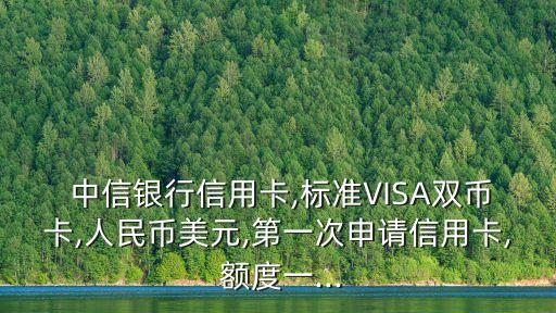 網(wǎng)申中信小白visa額度多少錢