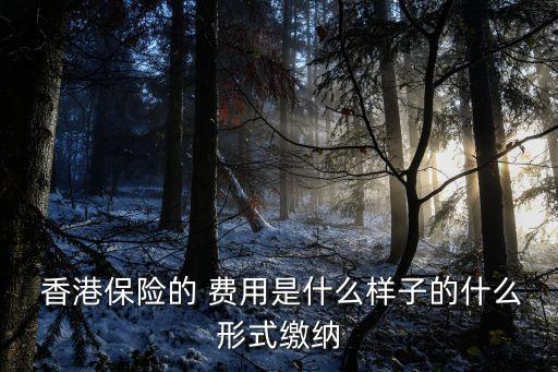  香港保險(xiǎn)的 費(fèi)用是什么樣子的什么形式繳納
