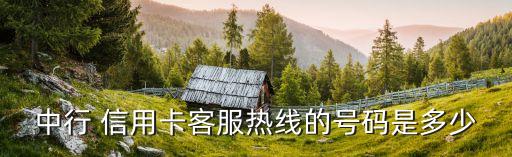 中國(guó)銀行信用卡服務(wù)中心電話號(hào)碼是多少錢,郵政信用卡服務(wù)中心電話號(hào)碼