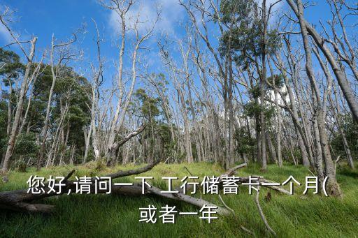 您好,請(qǐng)問(wèn)一下 工行儲(chǔ)蓄卡一個(gè)月(或者一年