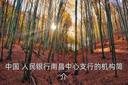 中國(guó) 人民銀行南昌中心支行的機(jī)構(gòu)簡(jiǎn)介
