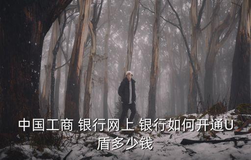 中國(guó)工商 銀行網(wǎng)上 銀行如何開(kāi)通U盾多少錢(qián)