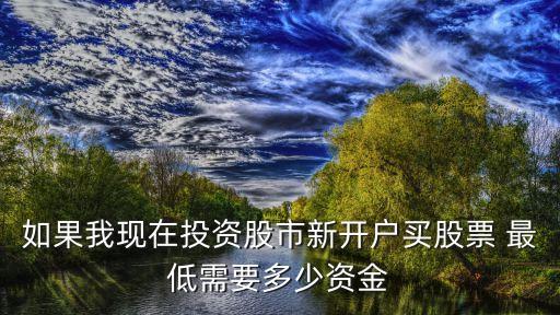 如果我現(xiàn)在投資股市新開戶買股票 最低需要多少資金