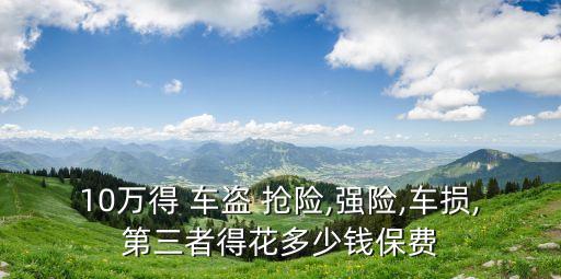 10萬得 車盜 搶險(xiǎn),強(qiáng)險(xiǎn),車損,第三者得花多少錢保費(fèi)
