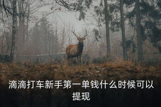 滴滴首次提現(xiàn)多少錢(qián),滴滴提現(xiàn)客服電話(huà)多少