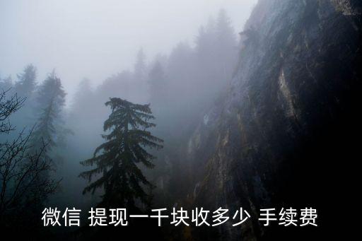 微信 提現(xiàn)一千塊收多少 手續(xù)費(fèi)