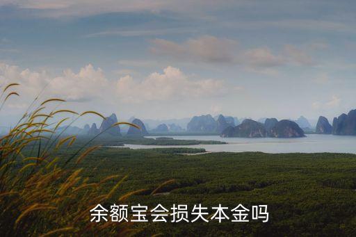  余額寶會(huì)損失本金嗎