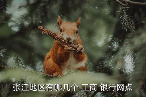 張江地區(qū)有哪幾個 工商 銀行網(wǎng)點
