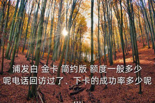 visa白金卡簡(jiǎn)約版額度是多少,浦發(fā)銀行visa白金卡簡(jiǎn)約版年費(fèi)