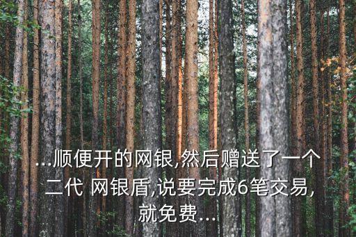 建行二代網(wǎng)銀盾多少錢