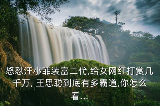 怒懟汪小菲裝富二代,給女網(wǎng)紅打賞幾千萬(wàn), 王思聰?shù)降子卸喟缘?你怎么看...