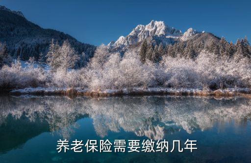 年養(yǎng)老保險交多少年,2023社保繳費價格表