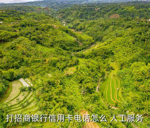 招行人工客服按多少,招行信用卡人工客服是24小時嗎