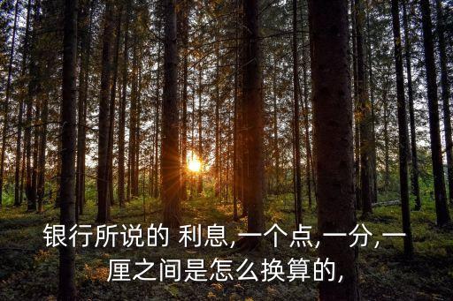 利息一個(gè)點(diǎn)子是多少錢