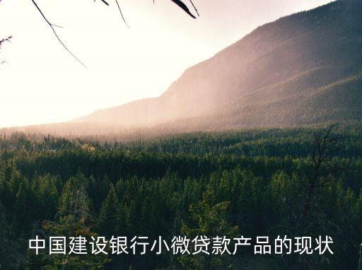 綠色債發(fā)行多少筆