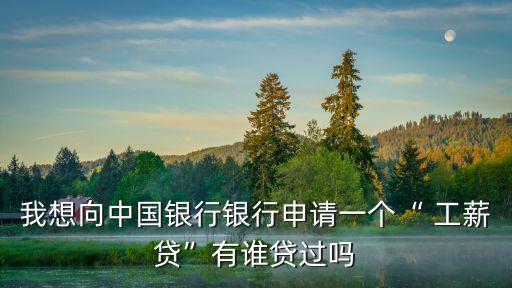 我想向中國(guó)銀行銀行申請(qǐng)一個(gè)“ 工薪貸”有誰貸過嗎