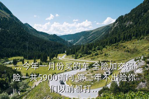 ...今年一月份買的車 全險(xiǎn)加交強(qiáng)險(xiǎn)一共5900請問 第二年不出險(xiǎn)你們以前都打...