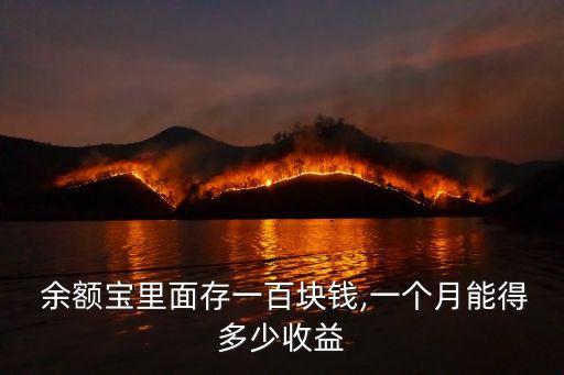 余額寶100塊利息多少錢,100萬放在余額寶一個月多少利息