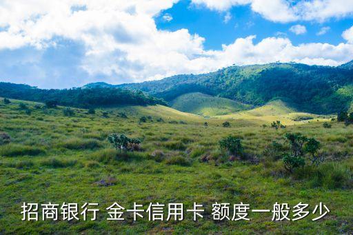 金卡和白金卡的額度是多少錢,民生金卡升級(jí)白金卡額度會(huì)提升嗎