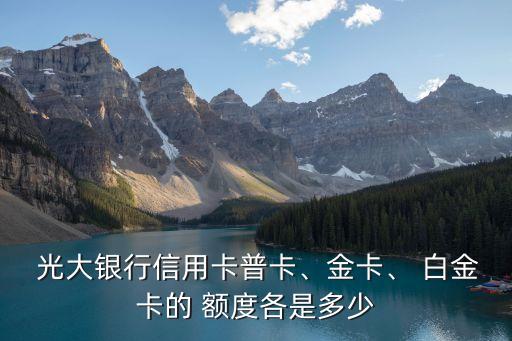 光大白金陽(yáng)光商旅卡一般額度是多少
