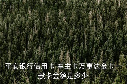車主卡有多少額度,長沙車主卡的額度一般多少?