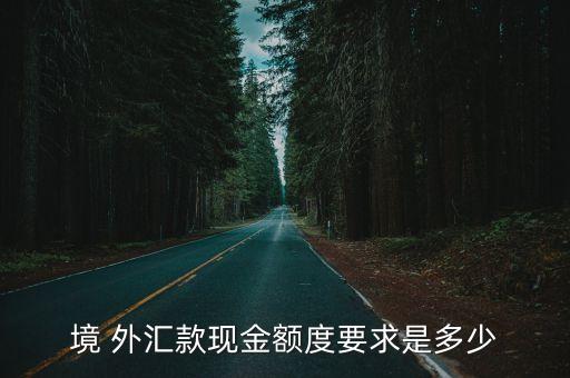 境 外匯款現(xiàn)金額度要求是多少